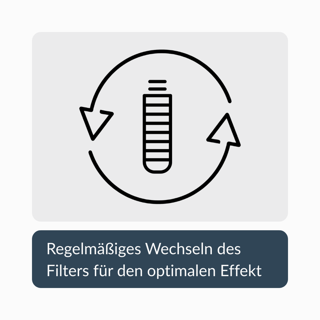 Duschkopf mit Filter