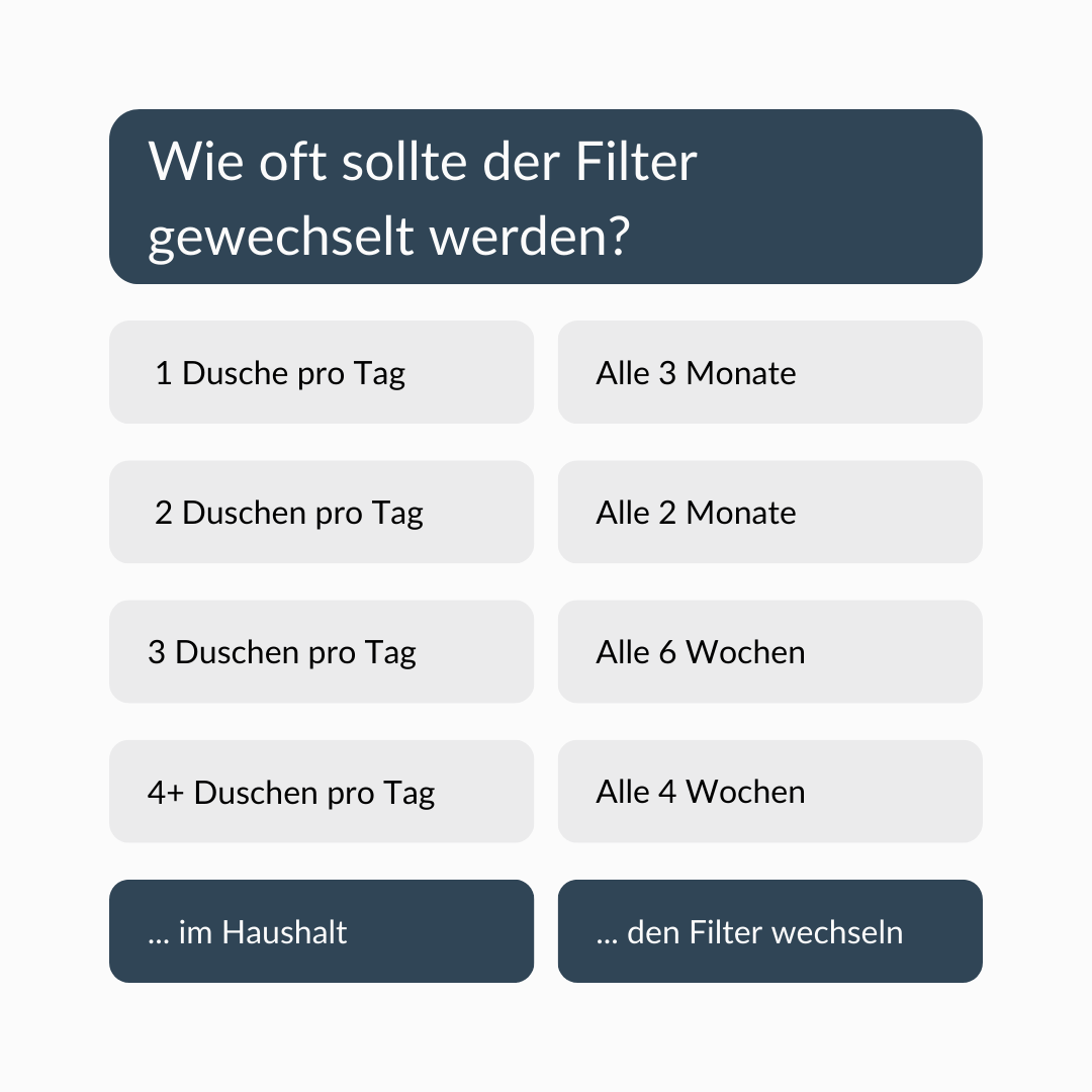 Duschkopf mit Filter